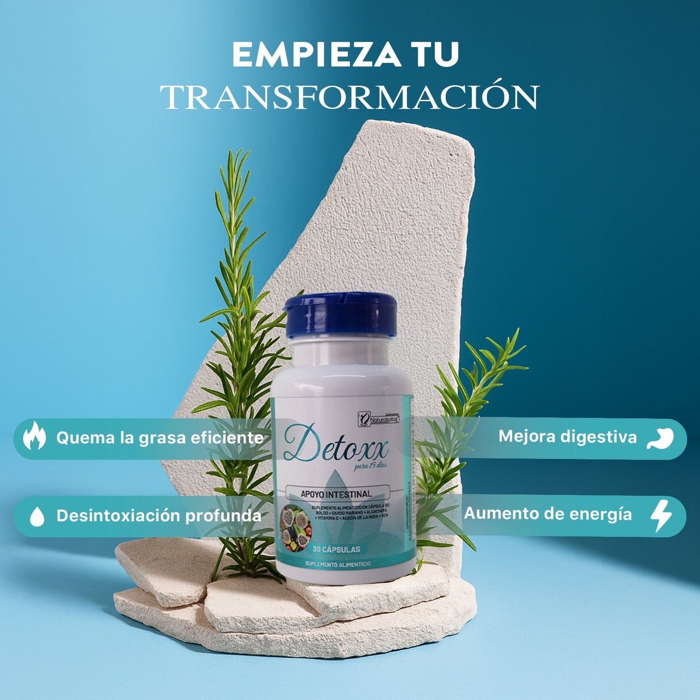 Limpieza 15 dias